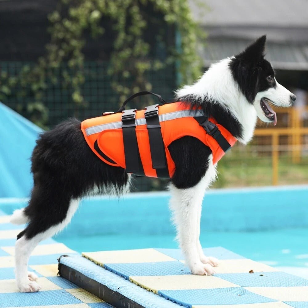 Pet Life Jacket