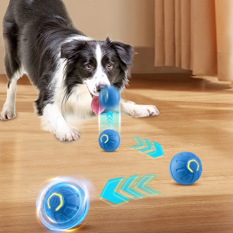 Shakey Bouncy Toy