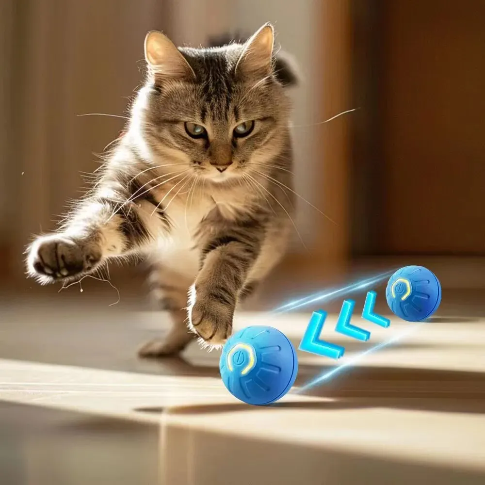 Shakey Bouncy Toy