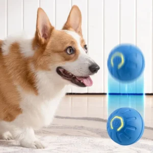 Shakey Bouncey Toy