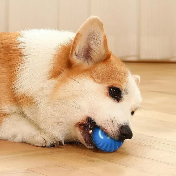 Shakey Bouncey Toy - Image 5