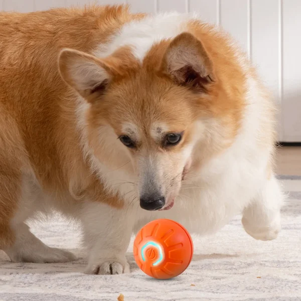 Shakey Bouncey Toy - Image 6