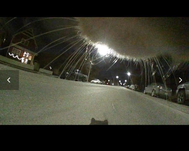 Night view from PetVision360
