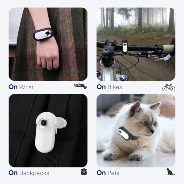 PetVision 360 - Image 3