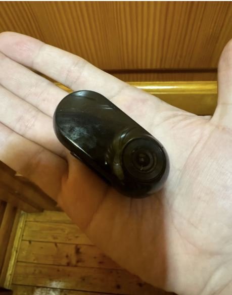 PetVision360 camera in hand