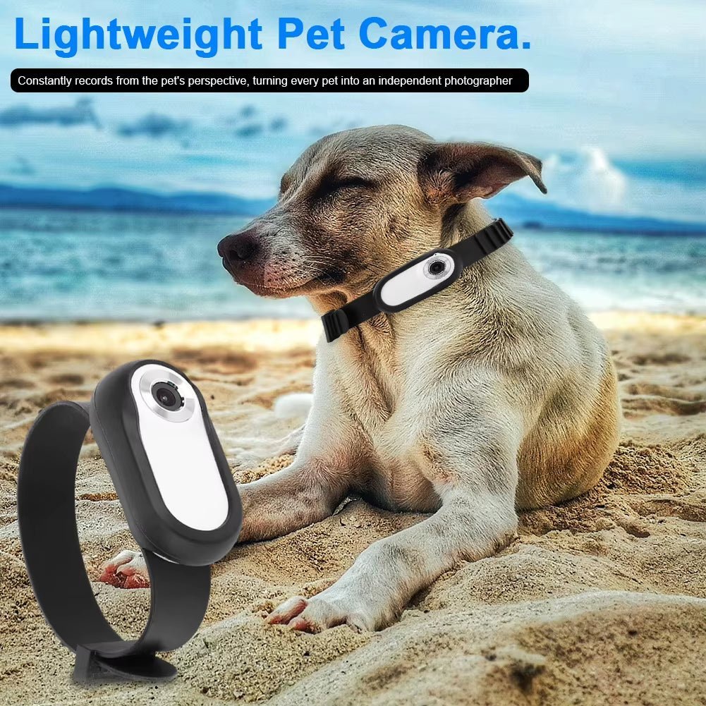 PetVision 360 POV Camera