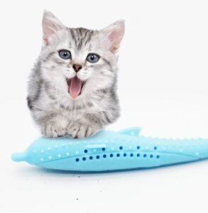 PurrBrush™ Silicone Cat Toothbrush Toy
