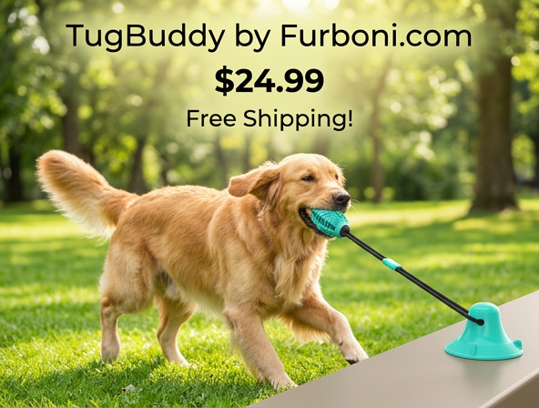 TugBuddy Dog Toy