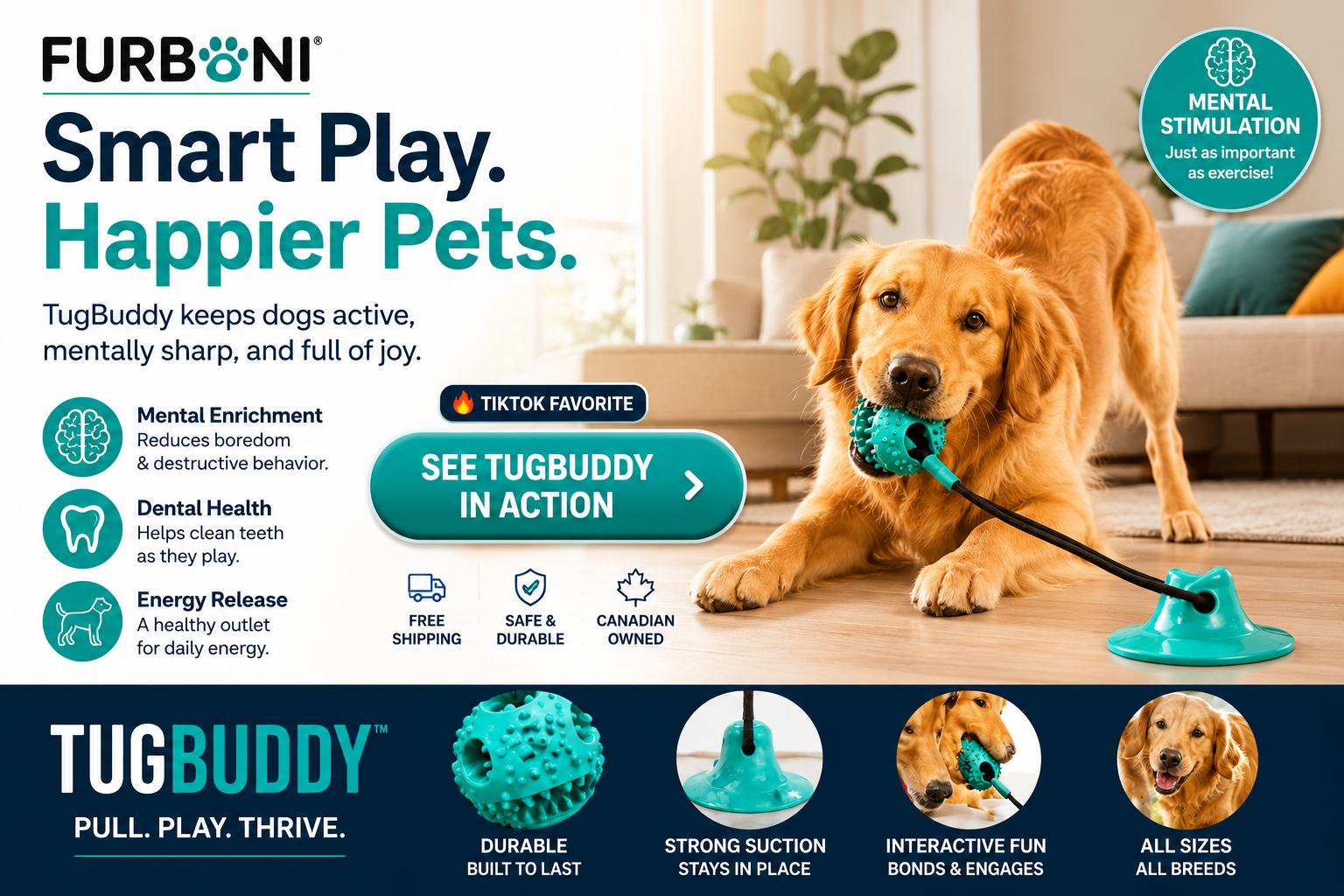 Dog playing with TugBuddy suction toy