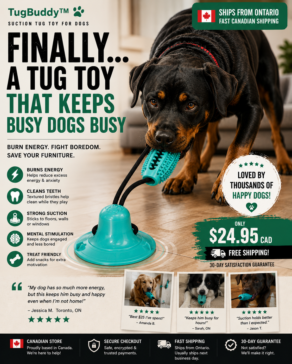 TugBuddy suction powered tug toy for dogs